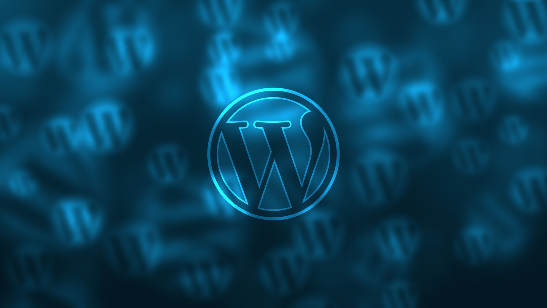 Custom WordPress or Pre-Made Theme? What’s Best for Your Business